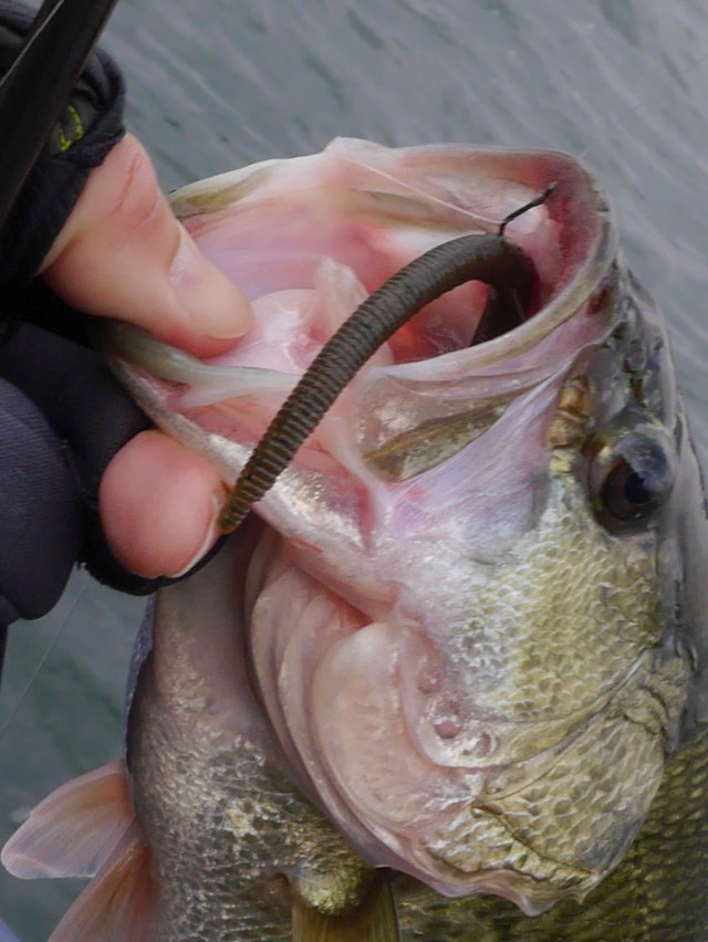 truth hiramura ブログ写真 2017/01/03