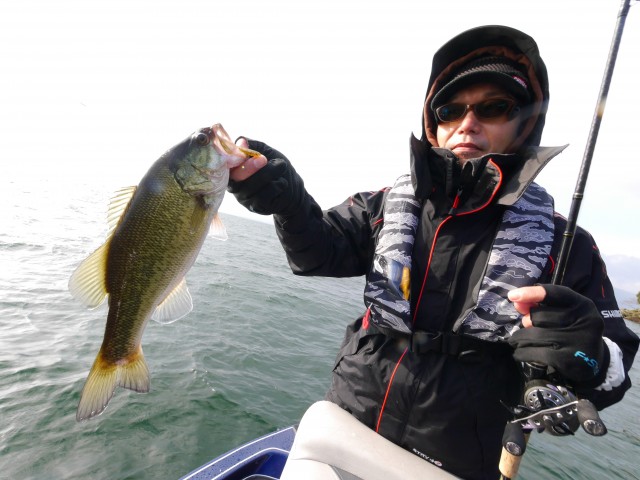 truth hiramura ブログ写真 2017/01/03