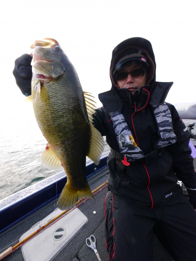 truth hiramura ブログ写真 2017/01/03