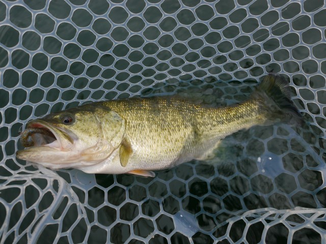 truth hiramura ブログ写真 2017/01/05