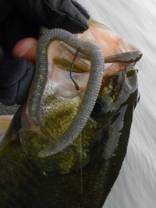 truth hiramura ブログ写真 2017/01/05