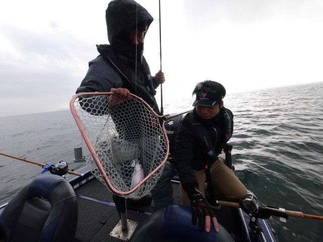 truth hiramura ブログ写真 2017/01/05