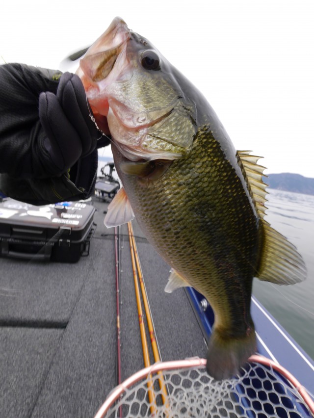 truth hiramura ブログ写真 2017/01/08