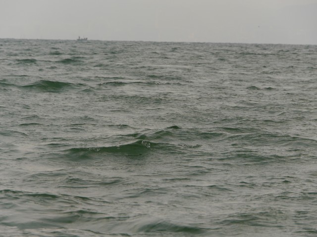 truth hiramura ブログ写真 2017/01/21