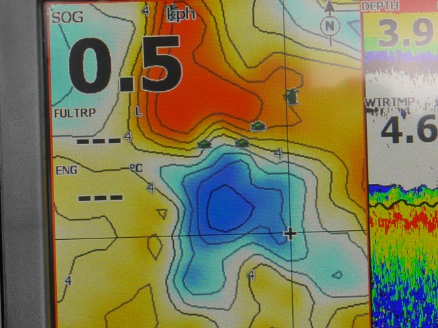 truth hiramura ブログ写真 2017/01/25