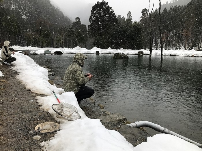 truth ブログ写真 2017/02/07