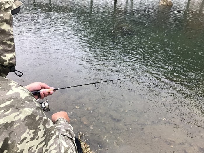 truth ブログ写真 2017/02/07