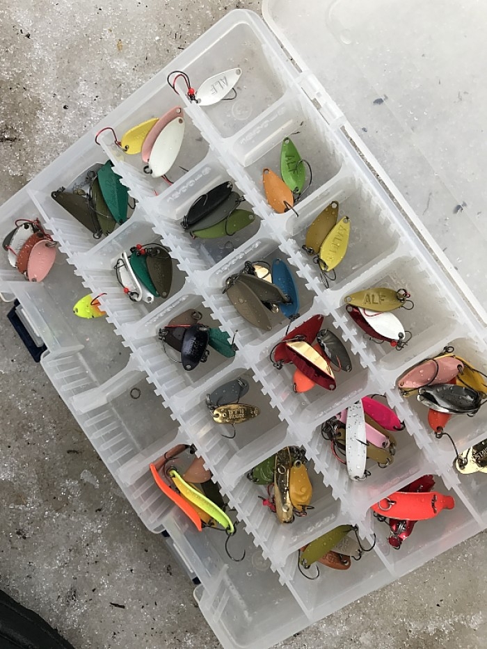 truth ブログ写真 2017/02/07