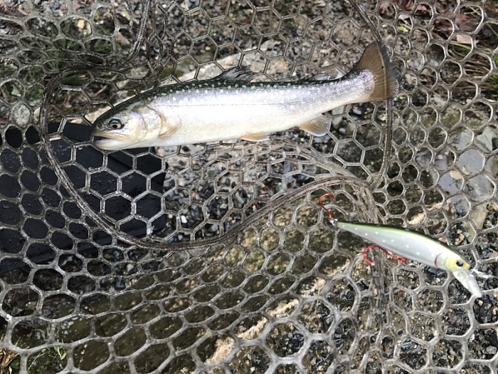 truth ブログ写真 2017/02/07