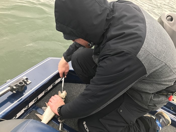 truth ブログ写真 2017/02/08