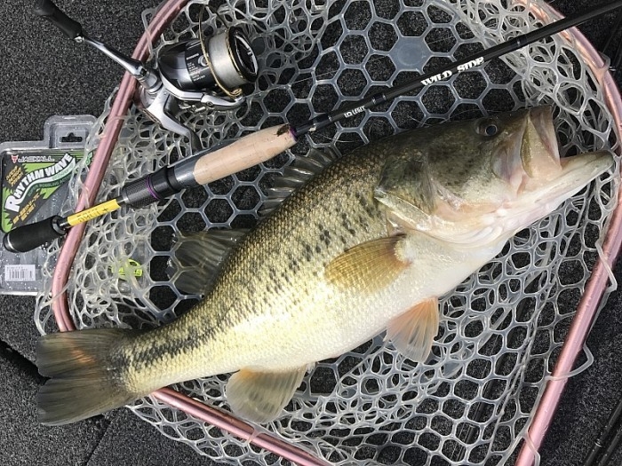 truth ブログ写真 2017/02/08