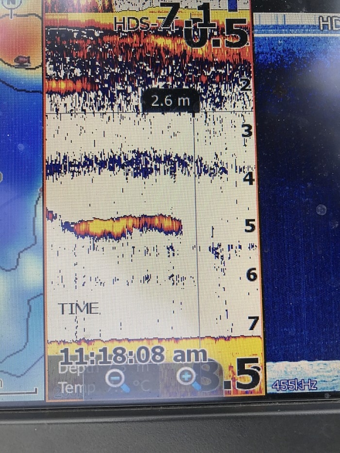 truth  ブログ写真 2017/02/09