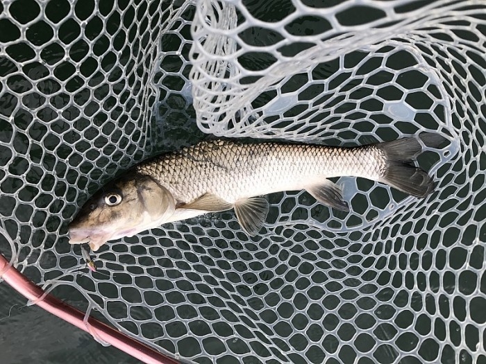 truth  ブログ写真 2017/02/09