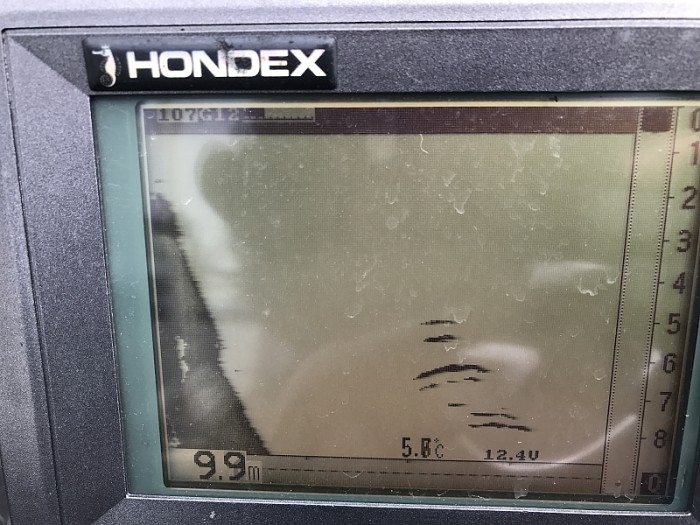 truth  ブログ写真 2017/02/09