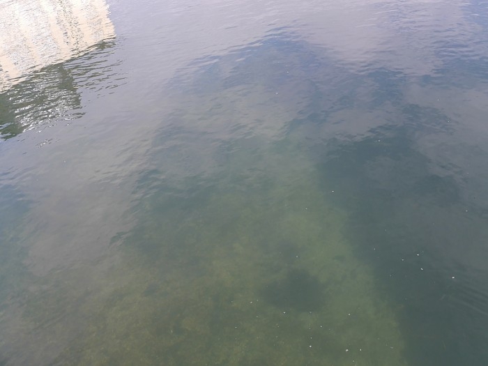 truth  ブログ写真 2017/02/15