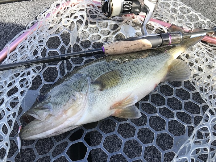 truth ブログ写真 2017/02/23