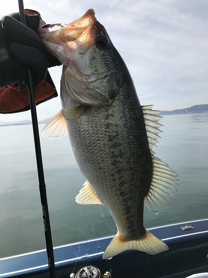 truth ブログ写真 2017/02/23