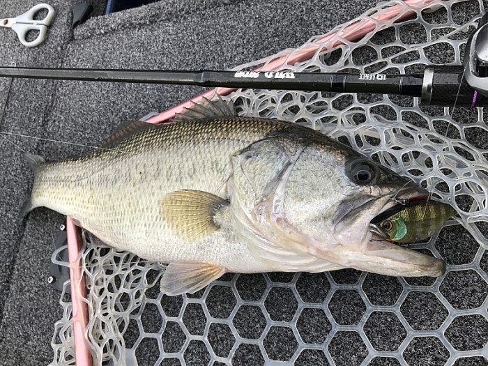 truth ブログ写真 2017/02/23