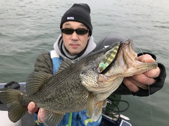 truth ブログ写真 2017/02/23