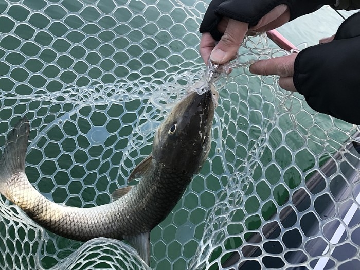 truth ブログ写真 2017/02/23