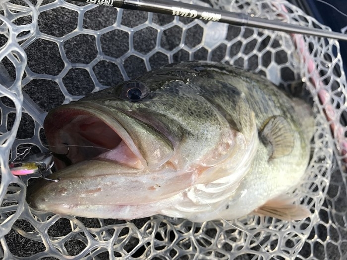 truth ブログ写真 2017/02/24