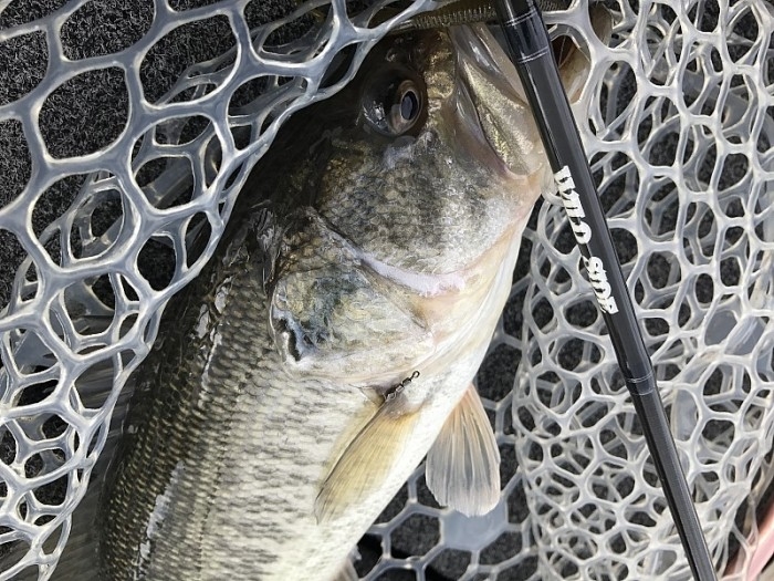 truth ブログ写真 2017/02/24