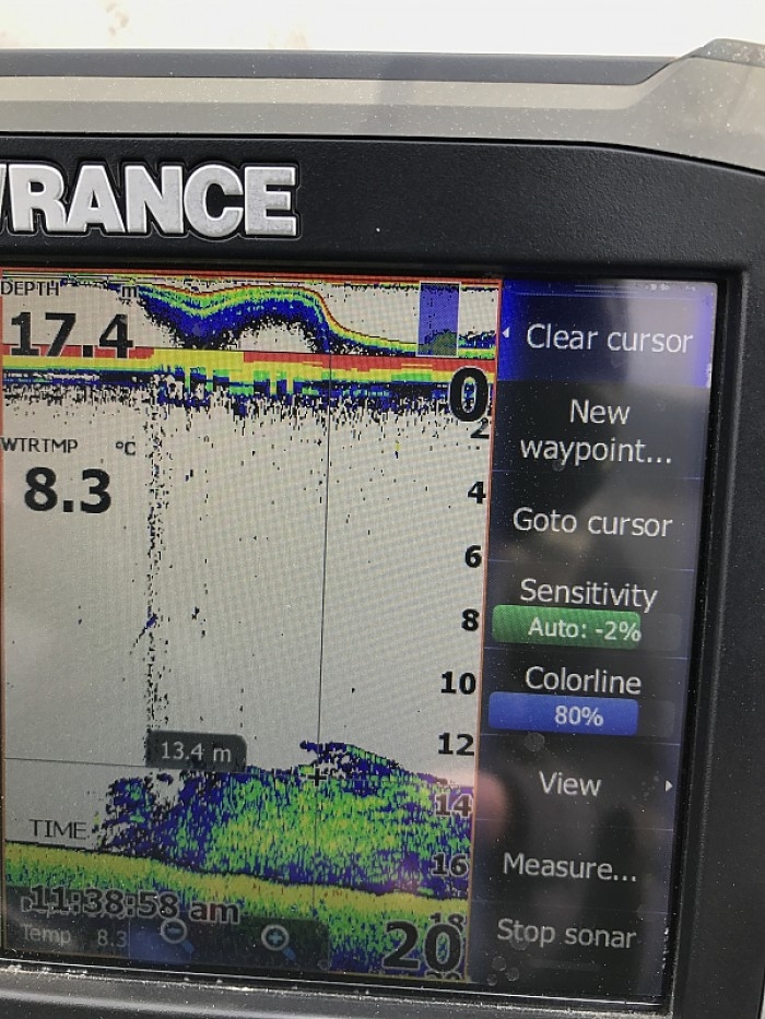 truth  ブログ写真 2017/03/02