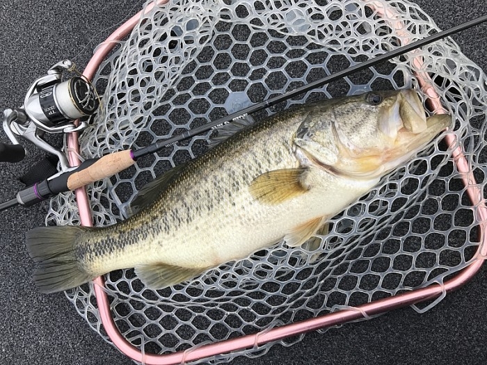 truth  ブログ写真 2017/03/03