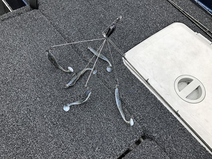 truth  ブログ写真 2017/03/03