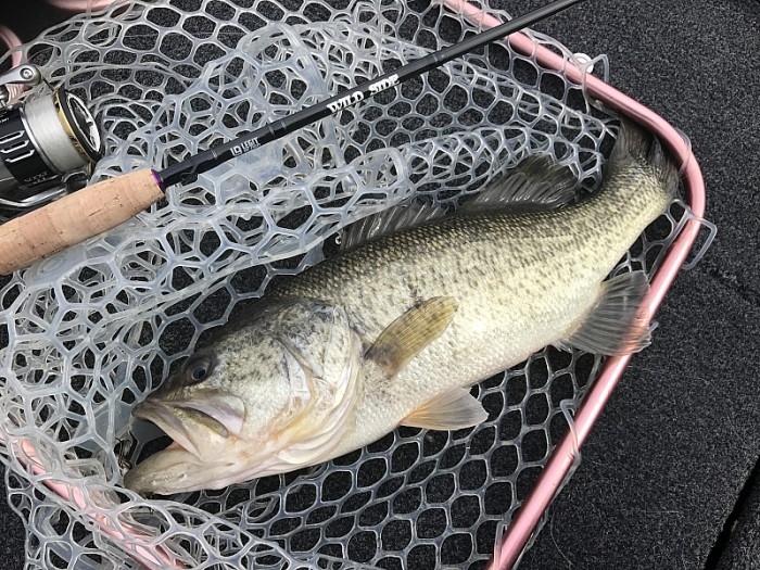 truth  ブログ写真 2017/03/03