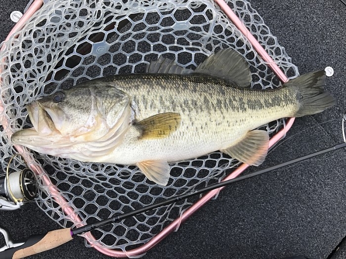 truth  ブログ写真 2017/03/03