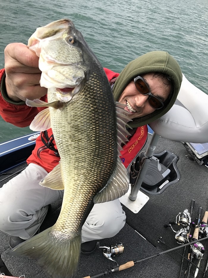 truth  ブログ写真 2017/03/03