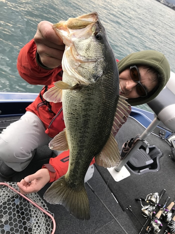 truth  ブログ写真 2017/03/03