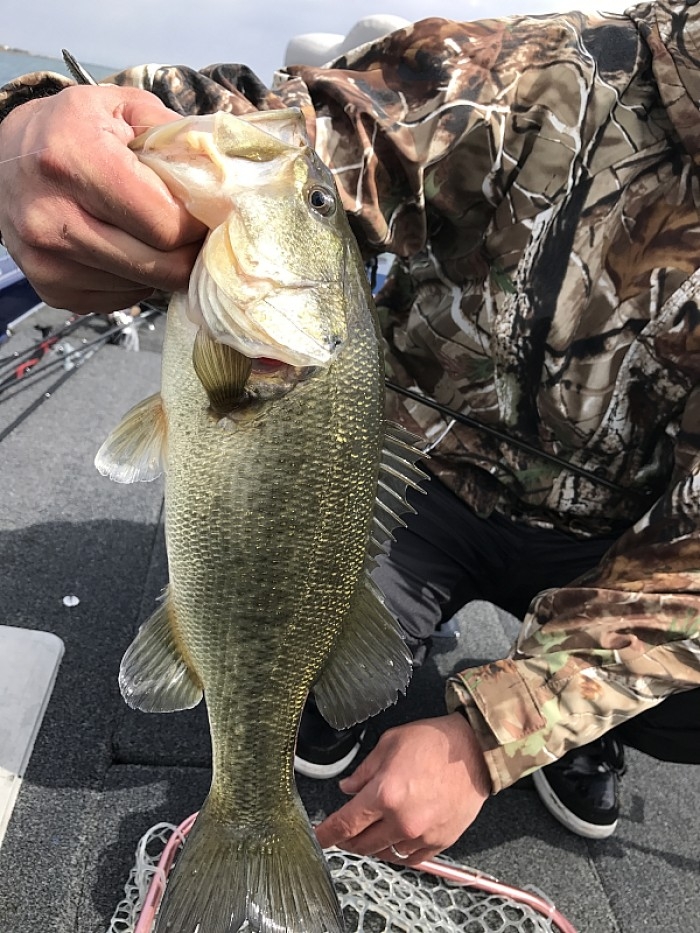 truth  ブログ写真 2017/03/03