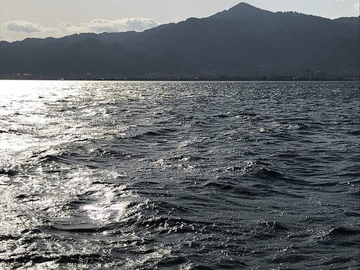 truth  ブログ写真 2017/03/03