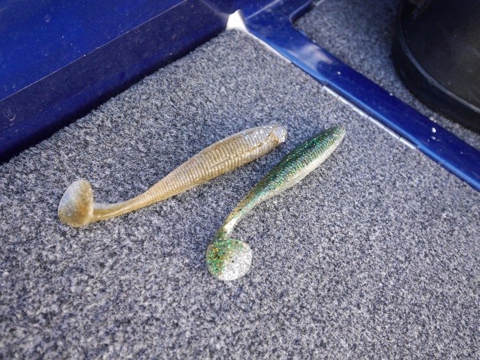 truth ブログ写真 2017/03/11