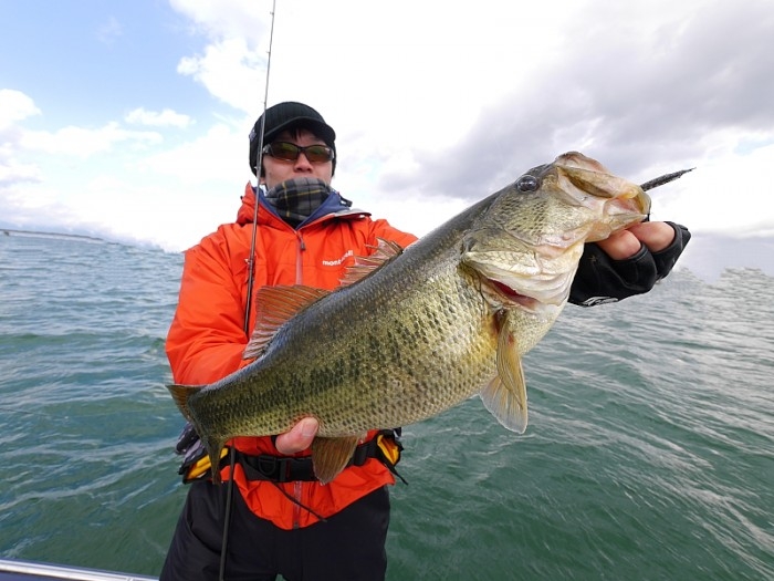 truth ブログ写真 2017/03/11