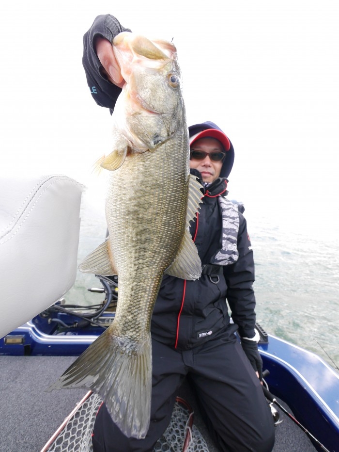 truth ブログ写真 2017/03/12