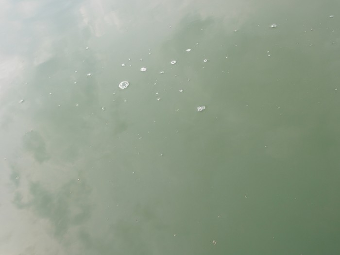 truth ブログ写真 2017/03/13