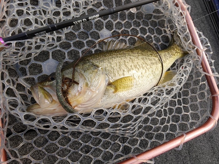 truth ブログ写真 2017/03/13