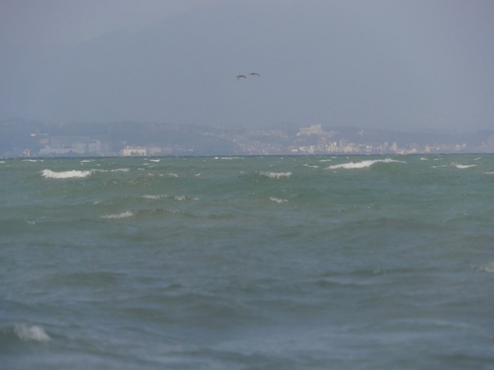 truth ブログ写真 2017/03/15