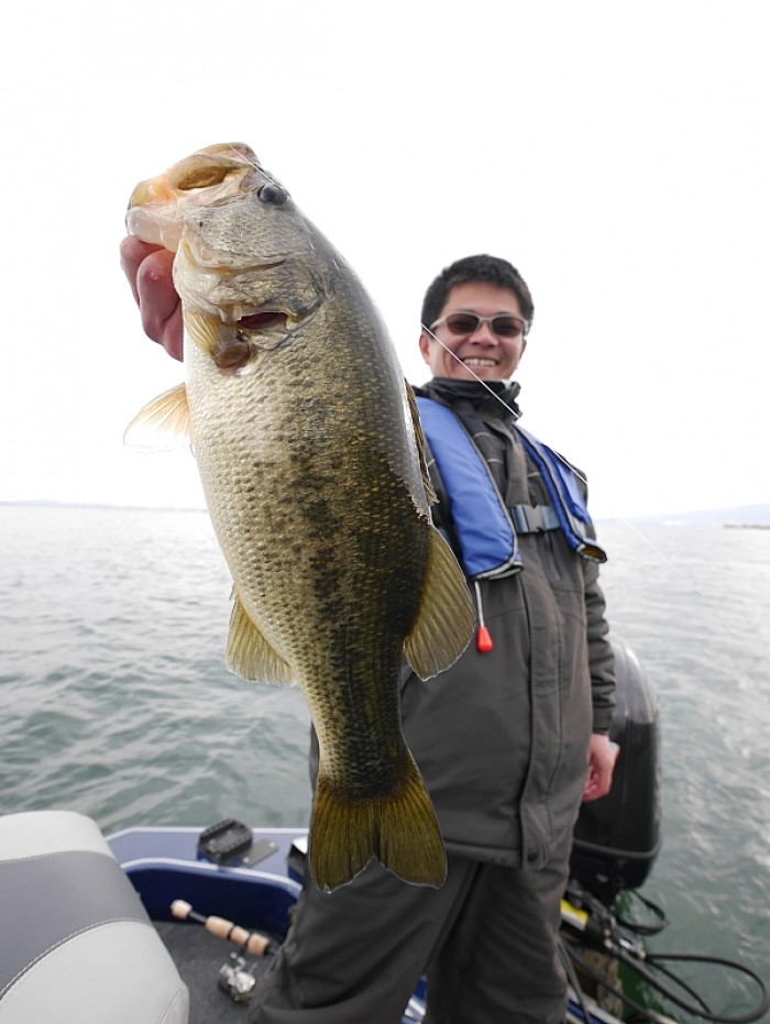 truth ブログ写真 2017/03/15