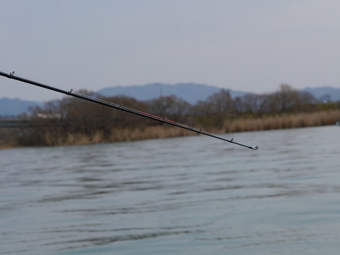 truth ブログ写真 2017/03/19