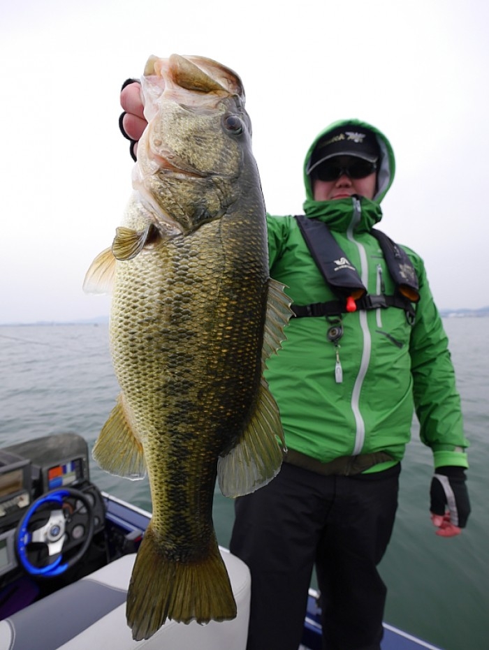 truth ブログ写真 2017/03/19