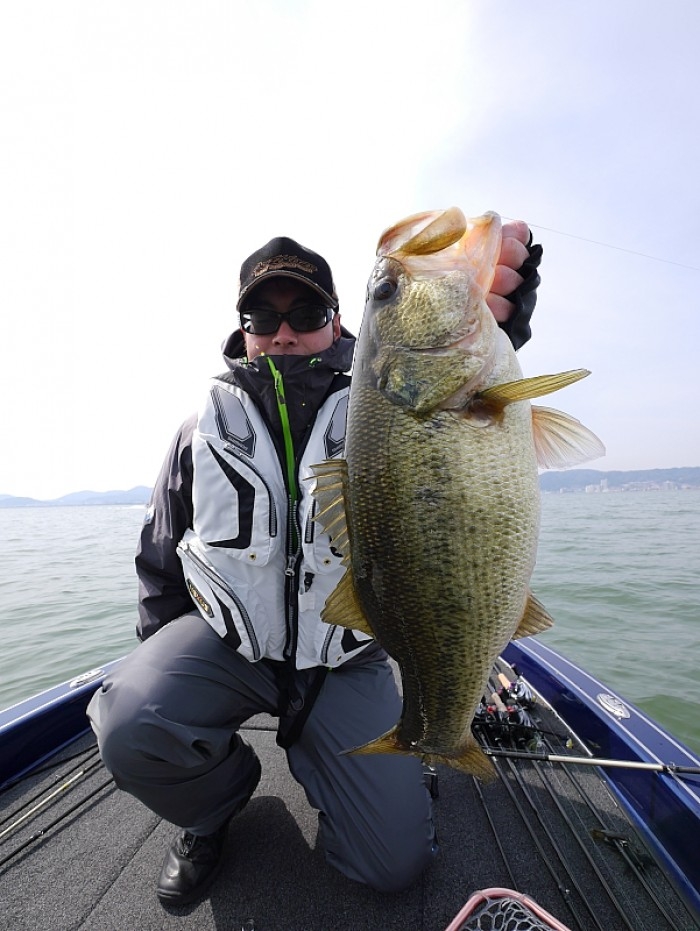 truth ブログ写真 2017/03/19