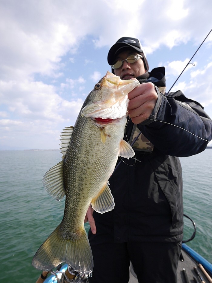 truth ブログ写真 2017/03/22