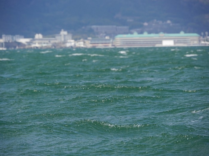 truth ブログ写真 2017/03/22