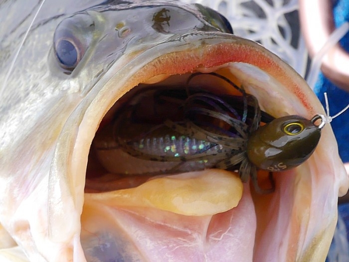 truth ブログ写真 2017/03/24