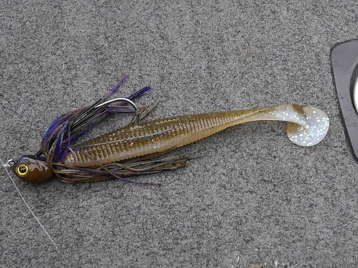 truth ブログ写真 2017/03/24