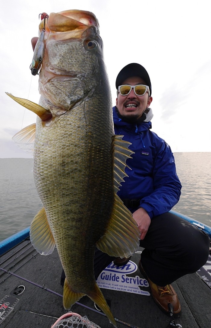 truth ブログ写真 2017/03/24